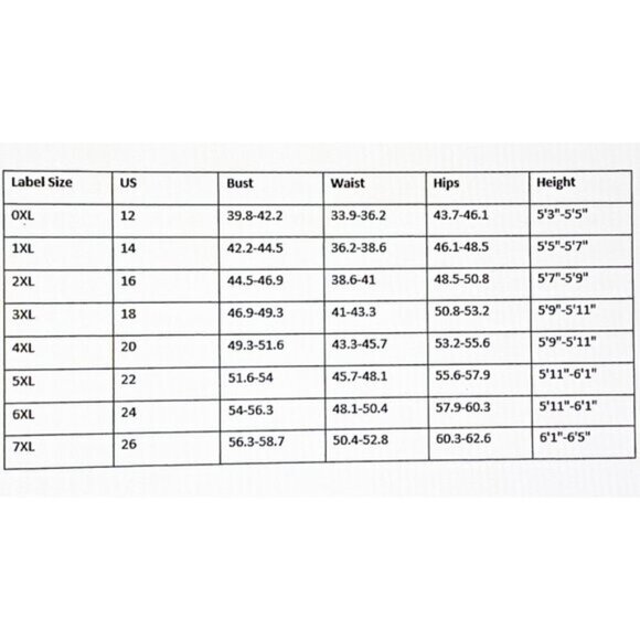 NEW Sized 4x, 5x  Black Gothic Style Lace Up Blouse - Picture 5 of 5